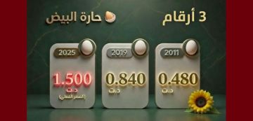 حركة حق تآكل القدرة الشرائية في تونس: حارة البيض، مرآة للواقع الاقتصادي حركة حق تآكل القدرة الشرائية في تونس: حارة البيض، مرآة للواقع الاقتصادي