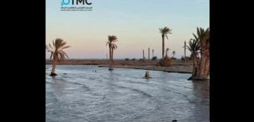 مرصد الطقس و المناخ: بصوت عامر بحبة حول غمر لأجزاء من ساحل قرقنة (فيديو)