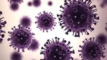 عميد البياطرة من الحمامات ..60 ٪ من الأمراض مصدرها الحيوان