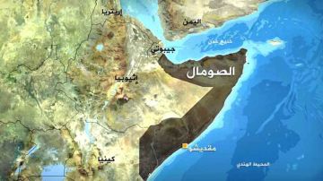 نبض الصحافة العربية والدولية ... مصر والسعودية تواجهان التغلغل الصهيوني في القرن الإفريقي