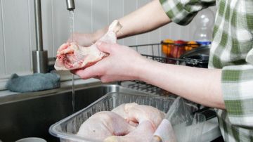 مختصة: غسل الدجاج والبيض يتسبب في انتشار بكتيريا السالمونيلا الخطيرة