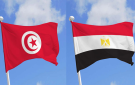 اتفاق تونسي مصري على تهيئة الظروف لاجراء الانتخابات الليبية - tn