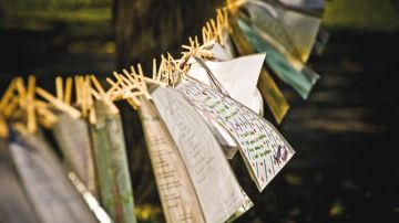 فرحة العيد فرحة العيد