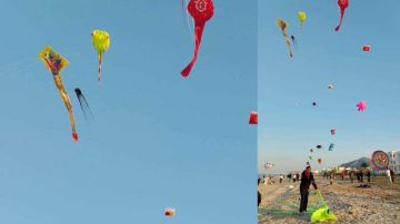 المهرجان الدولي للطائرات الورقية: ...طائرات السلام ... تحلق في سماء تونس