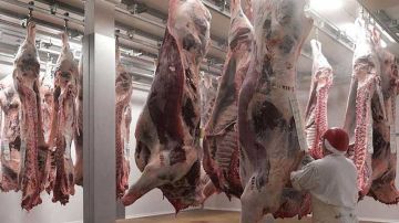 لتحقيقات شملت قطاع المخابز واللحوم والفلاحة والتزويد .. ممثلوا المهن حرامية 