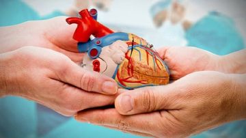 أكثر من 1500 مريض في تونس على قائمة انتظار زرع الكلى أكثر من 1500 مريض في تونس على قائمة انتظار زرع الكلى