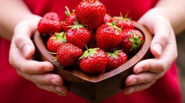 الوطن القبلي ... المساحات المخصصة لزراعة الفراولة... في تناقص ! الوطن القبلي ... المساحات المخصصة لزراعة الفراولة... في تناقص !