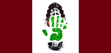 بيئة: حمدي حشاد يضع البصمة الكربونية الايجابية تحت المجهر بيئة: حمدي حشاد يضع البصمة الكربونية الايجابية تحت المجهر