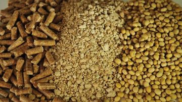 أسعار الأعلاف والحبوب والأسمدة مرشـحة للارتفاع .. الأمن الغذائي في قلب الخطر