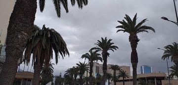 قراءة حمدي حشاد في ما يحدث فوق تونس وشمال إفريقيا من تحولات جوية