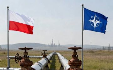  الناتو يدرس تمديد خطوط الوقود شرقا لضمان الإمدادات بمواجهة روسيا