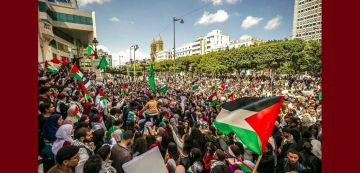 إقرار قانون لإعدام الأسرى الفلسطينيين، برلمايون من تونس يردون: لنجرم التطبيع