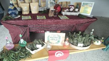 نابل.. انطلاق فعاليات الدورة الاولى لمعرض الآلات الفلاحية نابل.. انطلاق فعاليات الدورة الاولى لمعرض الآلات الفلاحية