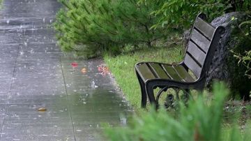 طقس اليوم: أمطار ضعيفة بهذه المناطق والحرارة معتدلة