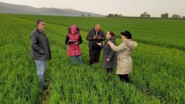 من الحبوب إلى الأشجار المثمرة: جهود جبارة لتقريب المعلومة الفلاحية وتأمين المحاصيل بوادي مليز