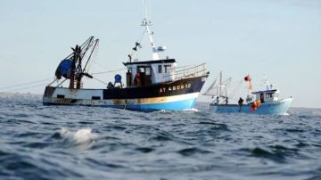 نابل: تواصل عمليات التمشيط والبحث عن 6 بحارة مفقودين