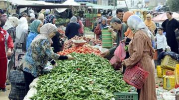 نجاح تنظيمي وإجتماعي وتنموي لنقطتي البيــــع من المنتــج إلــــى المستهلــــك