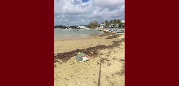 حشاد: صورة من شاطئ الحمامات تعكس شيئا مهما في فهم السواحل في تونس