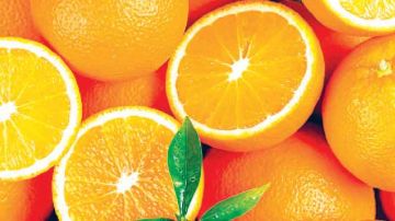 سياحة رمضانية ...منزل بوزلفة وبني خلاد .. لشراء القوارص والبرتقال سياحة رمضانية ...منزل بوزلفة وبني خلاد .. لشراء القوارص والبرتقال