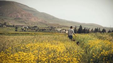 حالة الطقس أيام عيد الفطر