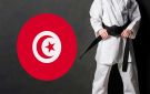 رباعي يمثل تونس في الدوري العالمي للكاراتي بروما - tn
