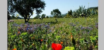 أحوال جوية: المهندس حشاد يكتب عن دخول أول موجة دافئة لربيع 2026 أحوال جوية: المهندس حشاد يكتب عن دخول أول موجة دافئة لربيع 2026