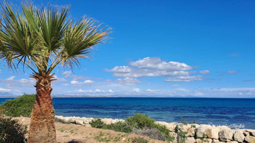 طقس اليوم: حرارة مرتفعة في هذه الجهات