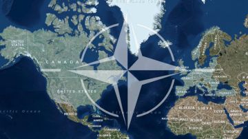 الأوروبيون يبحثون خيارات جديدة: أي بدائل لحلف الناتو؟