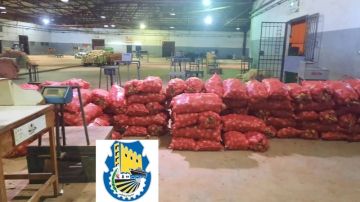 صفاقس: حجز 26 طنا من الخضر والغلال غير الصالحة للاستهلاك