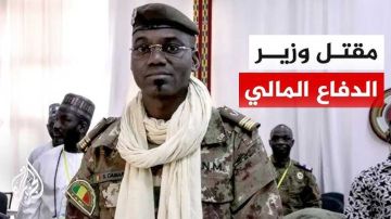 مقتل وزير الدفاع بهجمات القاعدة .. مالي تغرق في الفوضى