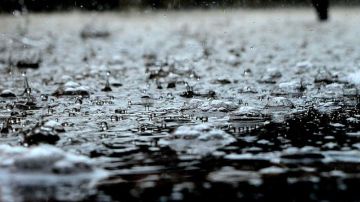 انعقاد لجنة الصمود ضد الكوارث