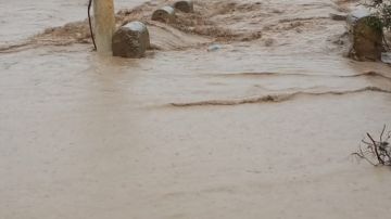 جندوبة: تعليق الدروس بكافة المؤسسات التربوية غدا الخميس جندوبة: تعليق الدروس بكافة المؤسسات التربوية غدا الخميس