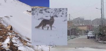 مرصد الطقس و المناخ الساعات القادمة: أمطار وبرد و ثلوج على المرتفعات