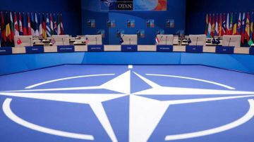 رأي ... الناتو .. حلف يتصدع