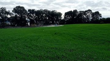 20 ألف قضية سنويا حول نزاعات الدولة