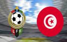 نجاح يتكرر: الكفاءة التونسية تبرز في الملاعب الليبية