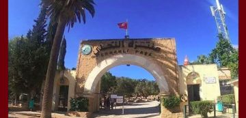 حفاظا على السلامة العامة، غلق منتزه النحلي مدة يوم لصيد الخنزير البري (فيديو)