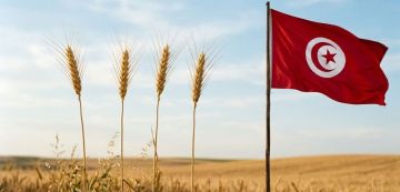 في بيان من أجل تونس ! الأستاذ الجلولي يؤكد أن 3 تيارات لم يعد لها صلاحا لحكم البلاد في بيان من أجل تونس ! الأستاذ الجلولي يؤكد أن 3 تيارات لم يعد لها صلاحا لحكم البلاد
