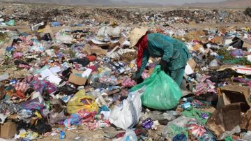 قريبا... مشروع لإدماج البرباشة في عمليات فرز النفايات قريبا... مشروع لإدماج البرباشة في عمليات فرز النفايات