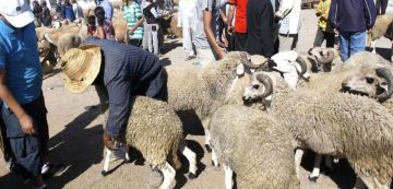 حين يصبح العيد بعيد المنال حين يصبح العيد بعيد المنال