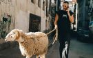 مشاهير الجزائر يعيشون لمة العيد من قلب الأحياء الشعبية