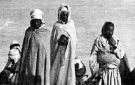 من الذاكرة الوطنية: جوان 1881 ... معركة وشتاتة غار الدماء بين قوة الحديد و النار و صمود المناضلين
