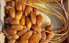 صادرات التمور التونسية ترتفع بـ 5.6 بالمائة - tn