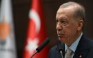 أردوغان: يجب إنهاء الاستفزازات الإسرائيلية ثم بناء سلام حقيقي بالمنطقة - tn