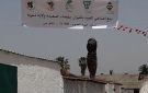منوبة: غلق نقطة بيع الأضاحي بالسعيدة بعد 5 أيام من انطلاق نشاطها