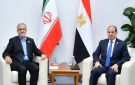 السيسي لبزشكيان: نرفض الاعتداء على سيادة دول الخليج - tn