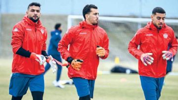 المنتخب الوطني  ...استقبال حافل في بلجيكا والجزائر تُربك الهولنديين
