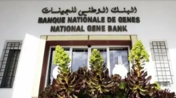 البنك الوطني للجينات: استرجاع أكثر من 7700 عينة وراثية البنك الوطني للجينات: استرجاع أكثر من 7700 عينة وراثية