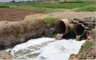 اعتذار وتصويب - tn