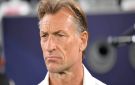 رسميا.. الفرنسي هيرفي رونار مدربا جديدا للمنتخب الوطني